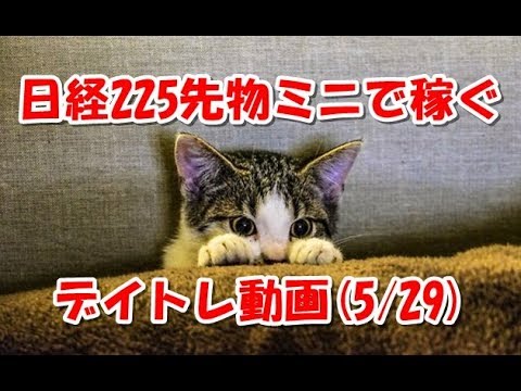 日経225先物ミニで稼ぐ～デイトレ動画(20180529)