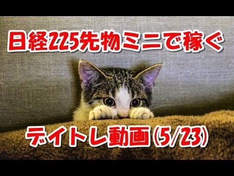 日経225先物ミニで稼ぐ～デイトレ動画(20180523)