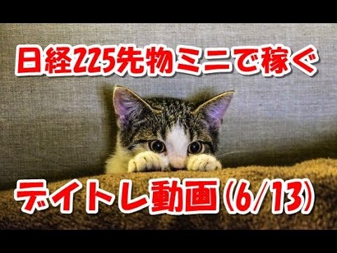 日経225先物ミニで稼ぐ～デイトレ動画(20180613)