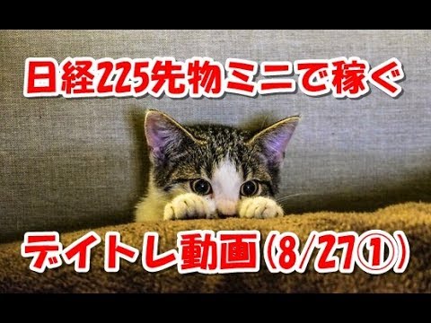 日経225先物ミニで稼ぐ～デイトレ動画(20180827①)
