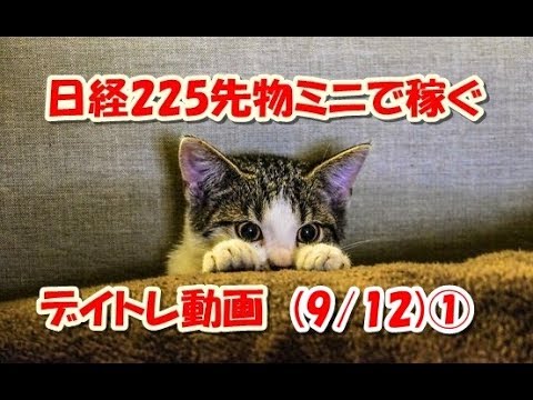 日経225先物ミニで稼ぐ～デイトレ動画(9/12)①